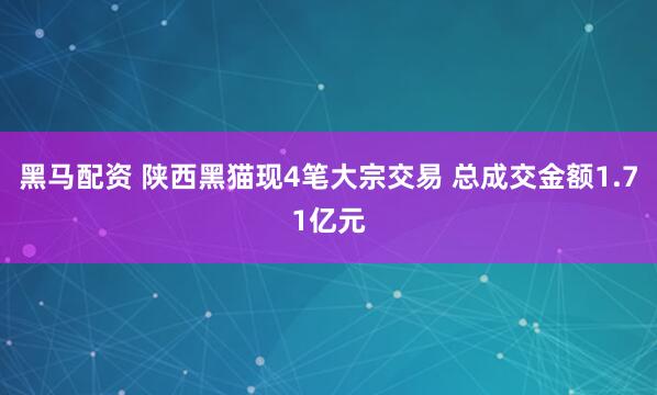 黑马配资 陕西黑猫现4笔大宗交易 总成交金额1.71亿元