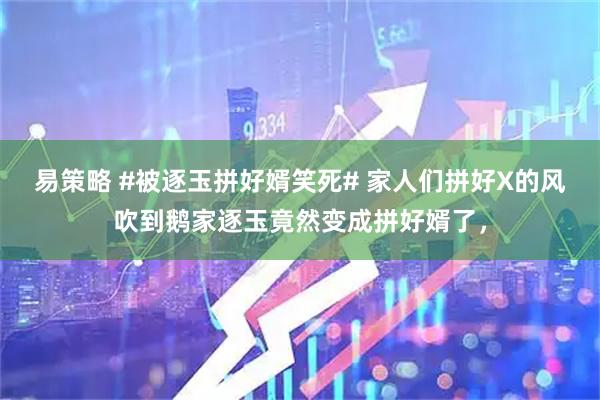 易策略 #被逐玉拼好婿笑死# 家人们拼好X的风吹到鹅家逐玉竟然变成拼好婿了，