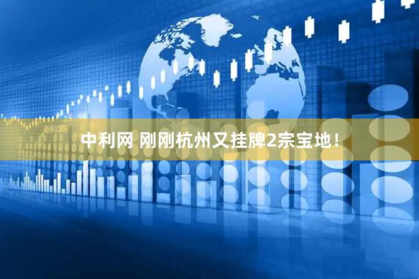 中利网 刚刚杭州又挂牌2宗宝地！
