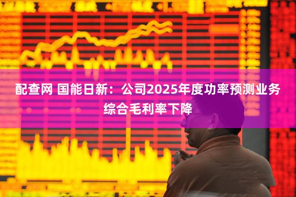 配查网 国能日新：公司2025年度功率预测业务综合毛利率下降