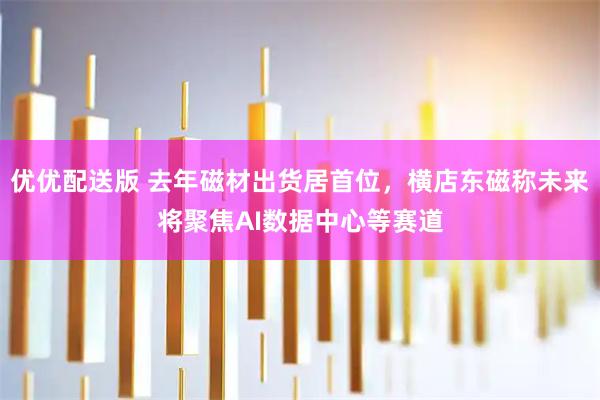 优优配送版 去年磁材出货居首位，横店东磁称未来将聚焦AI数据中心等赛道