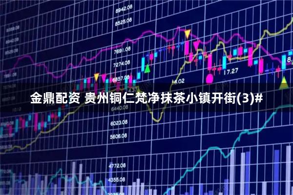金鼎配资 贵州铜仁梵净抹茶小镇开街(3)#
