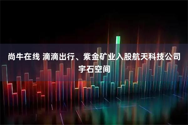 尚牛在线 滴滴出行、紫金矿业入股航天科技公司宇石空间